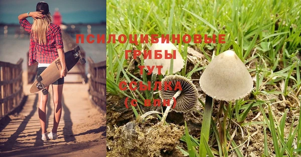 мдма Михайловка