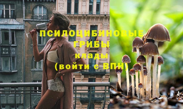 гашишное масло Михайловск