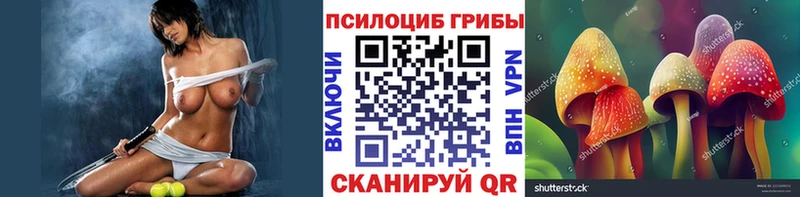 Галлюциногенные грибы мицелий  Купить где  Нестеровская 